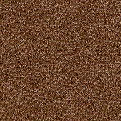 Healy Pier Living Room Set