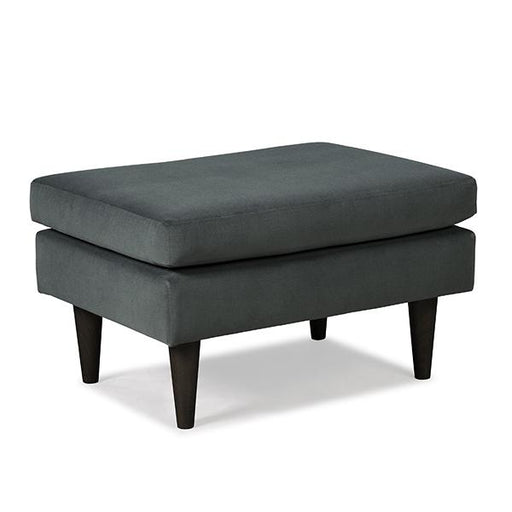 F10 LEATHER OTTOMAN- F10DWLU image